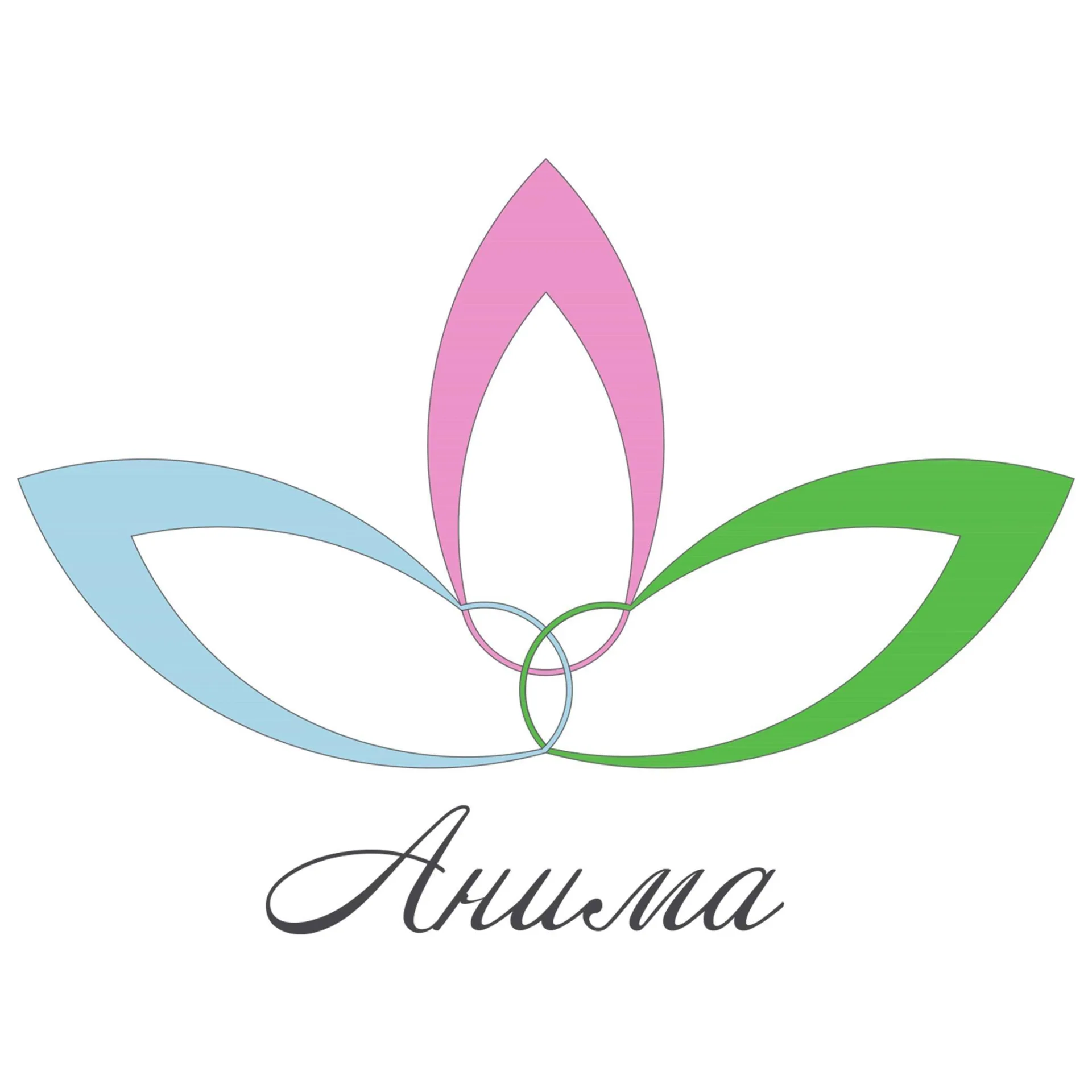 Лого на Анима - Центар